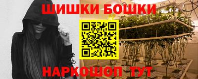 соль ск Дубна