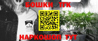 стаф Донской