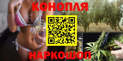стаф Донской