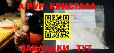 стаф Донской