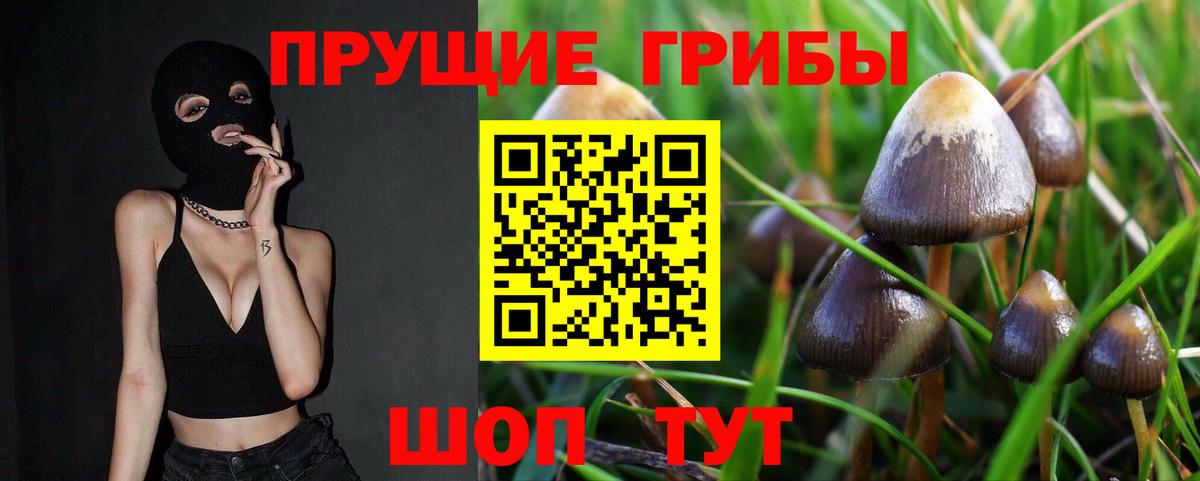 Псилоцибиновые грибы мухоморы  Галлюциногенные грибы MAGIC MUSHROOMS  Вход с VPN  Ливны 